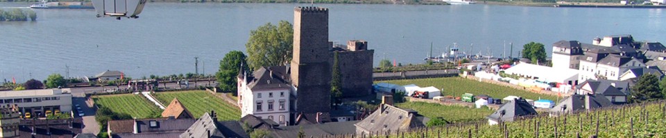 Rüdesheim Blick auf den Rhein
